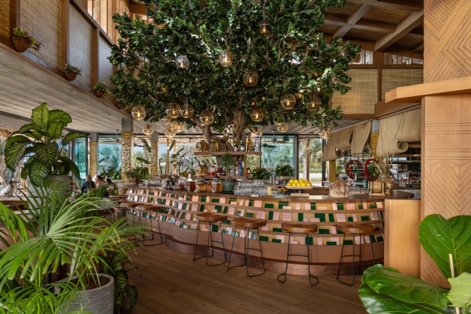 Een kunstmatige plumeria-boom die in een restaurant is geplaatst.