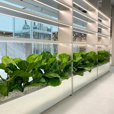brandwerende beplanting op kantoor